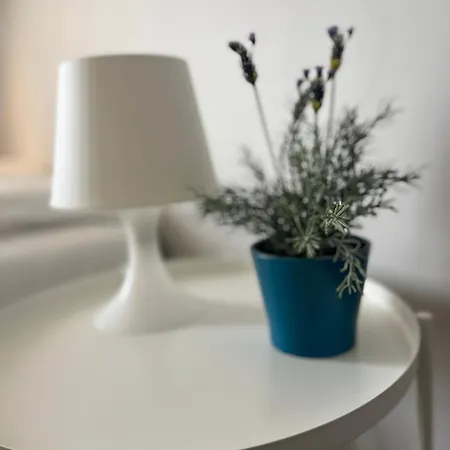 Appartement - Coeur De 2 Ramonville-Saint-Agne